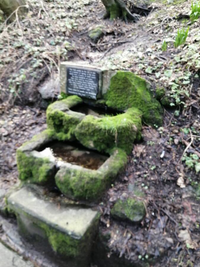 Narural Spring on Church Ravine